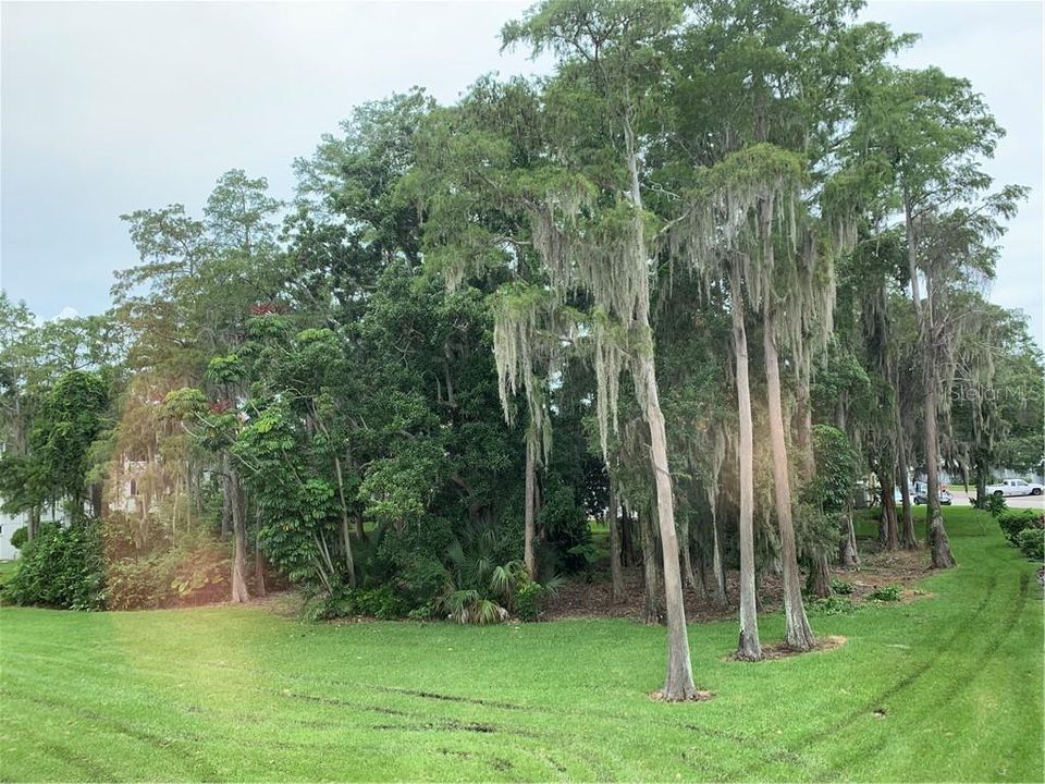 View from the Florida Room.