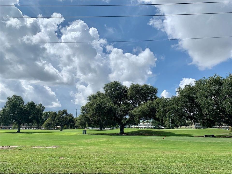 This is the golf course from the street level.