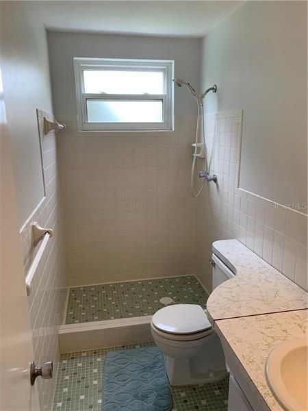 Master bathroom shower.