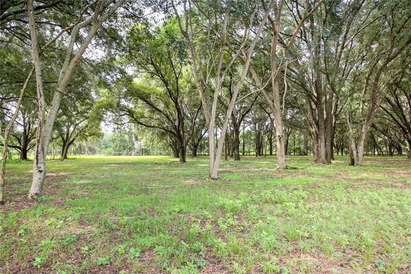 Recently Sold: $69,000 (1.30 acres)