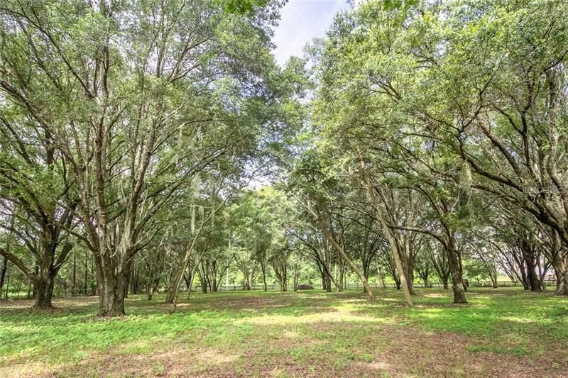 Recently Sold: $69,000 (1.30 acres)