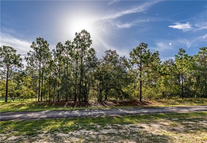 Recently Sold: $30,000 (1.00 acres)