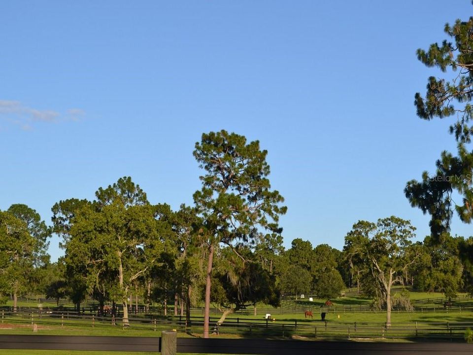 Equestrian Center-Fenced in for the boarded horses