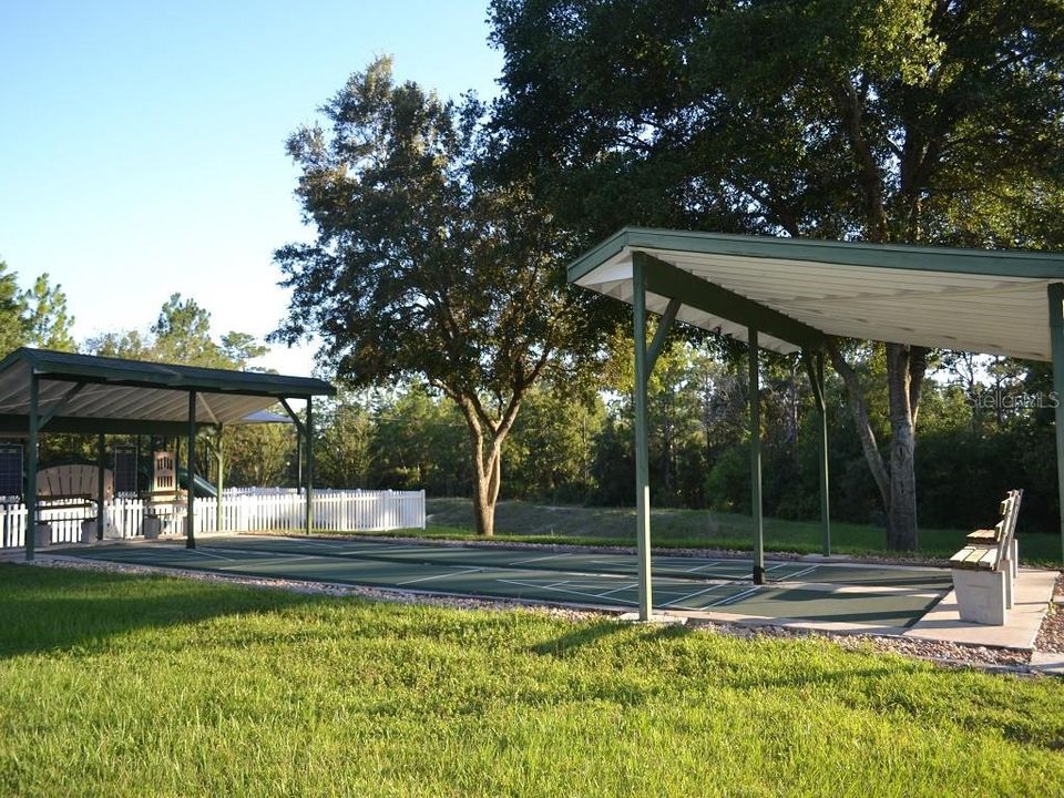 Community Shuffleboard