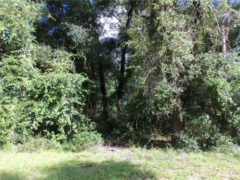 最近售出: $7,500 (0.23 acres)