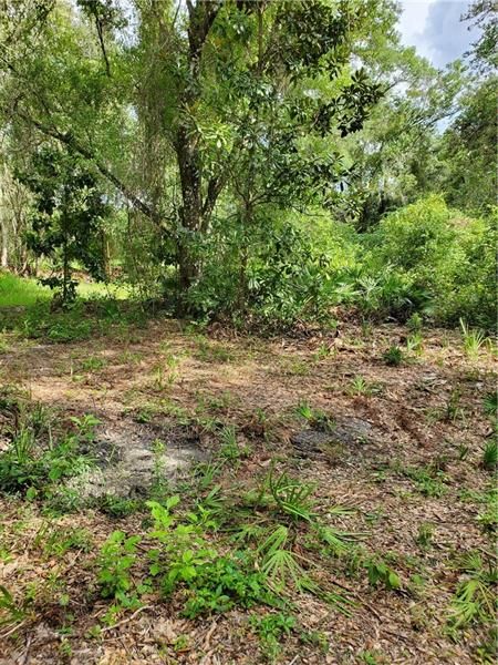 Recently Sold: $19,000 (0.69 acres)