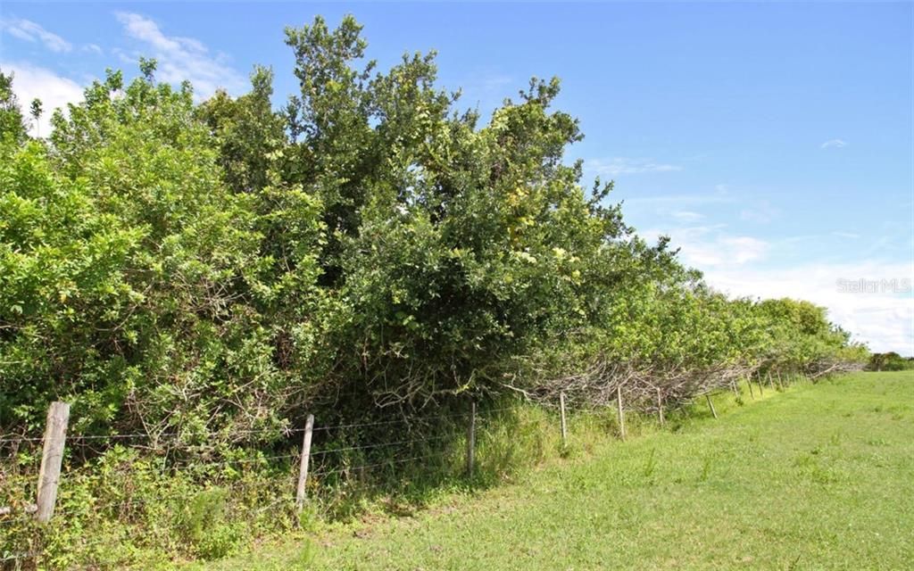 Recently Sold: $118,000 (2.17 acres)