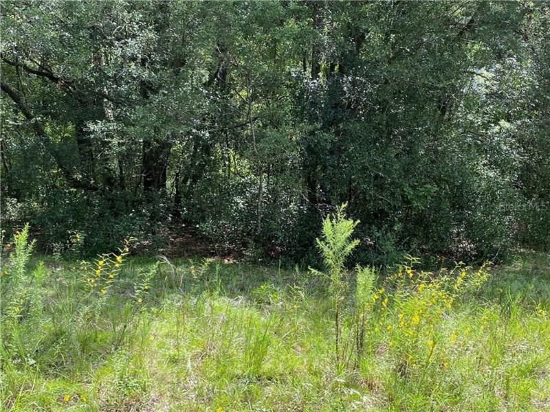 Recently Sold: $3,000 (0.49 acres)