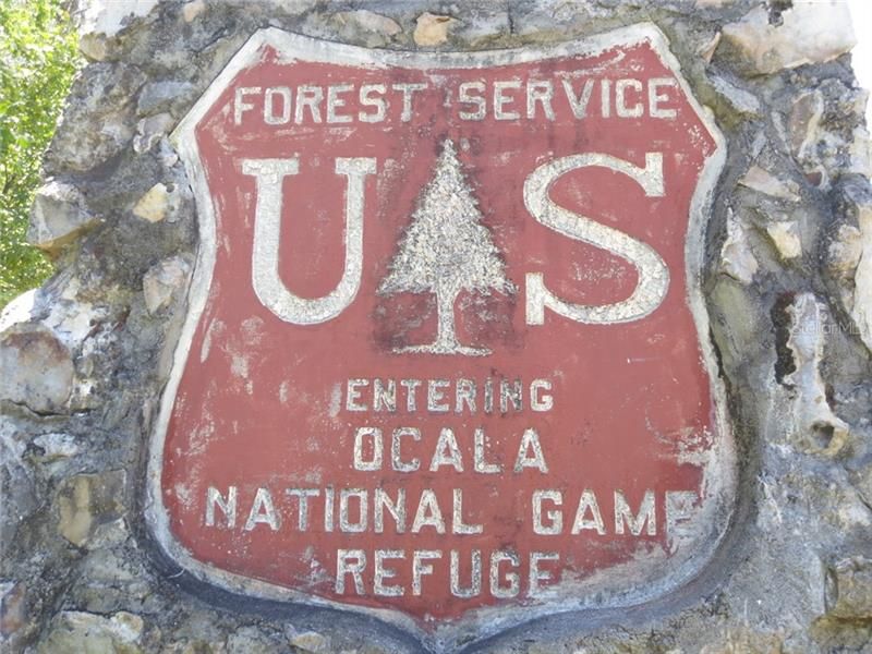 National Forest Activities