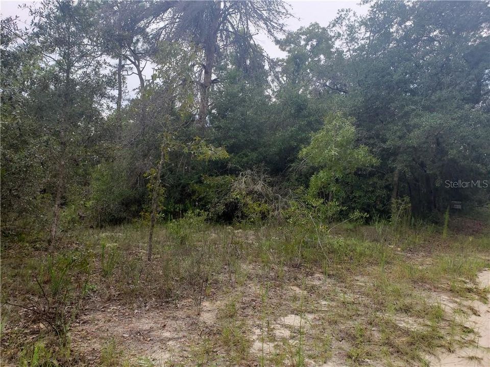 Recently Sold: $7,500 (0.31 acres)