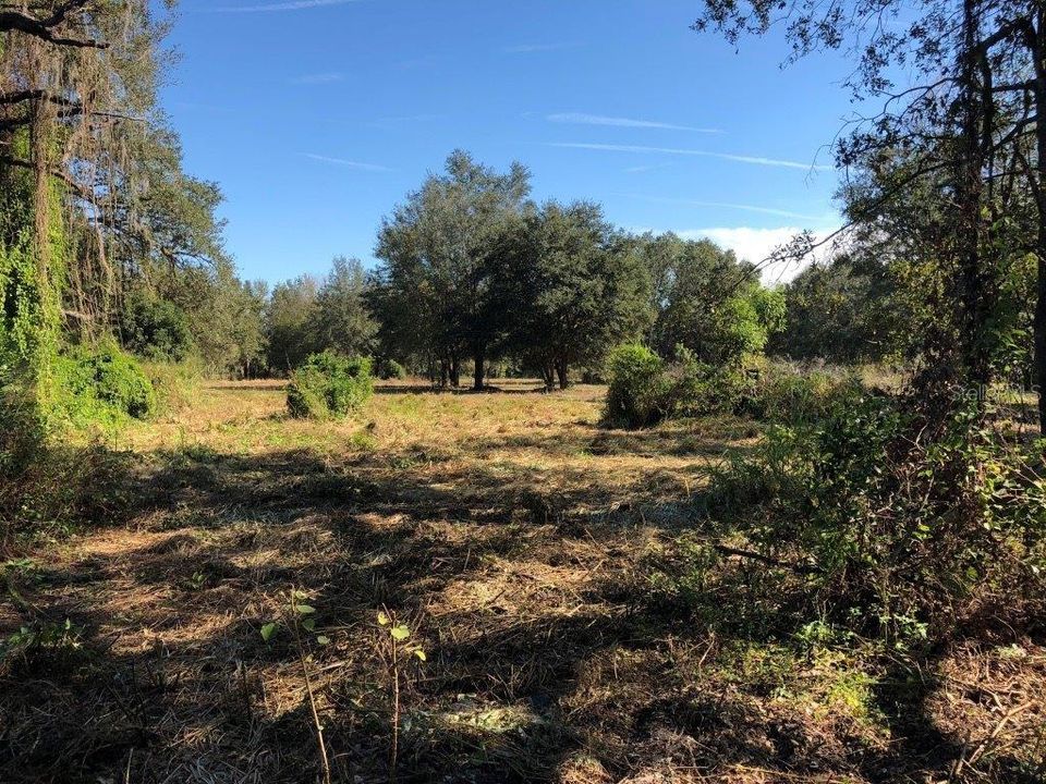 Recently Sold: $114,900 (5.60 acres)