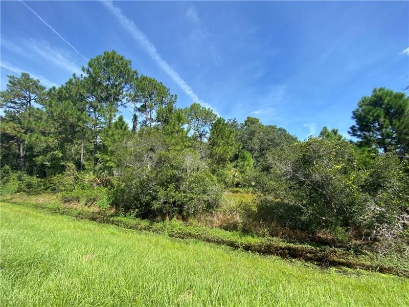 Recently Sold: $135,000 (6.60 acres)