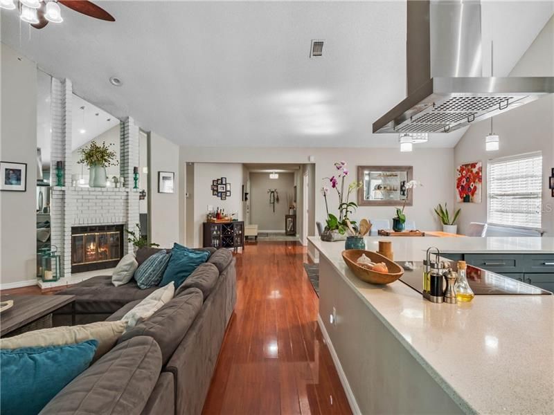 Living room / Kitchen