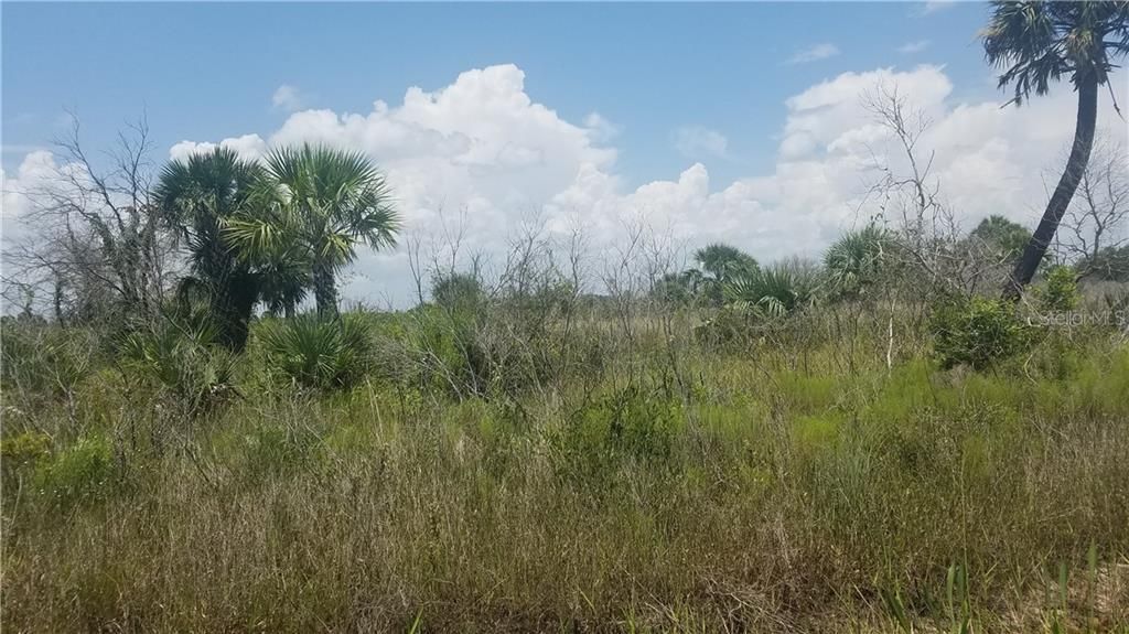 Vendido Recientemente: $7,500 (1.25 acres)