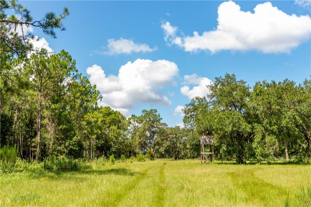 Recently Sold: $1,280,000 (127.48 acres)