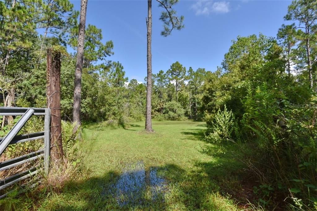 Fenced pasture