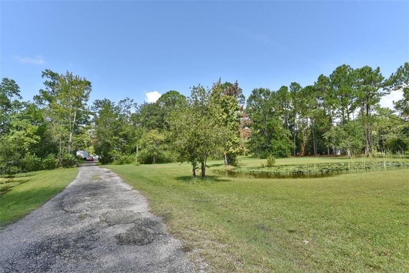 View going up the driveway - beautiful pond!