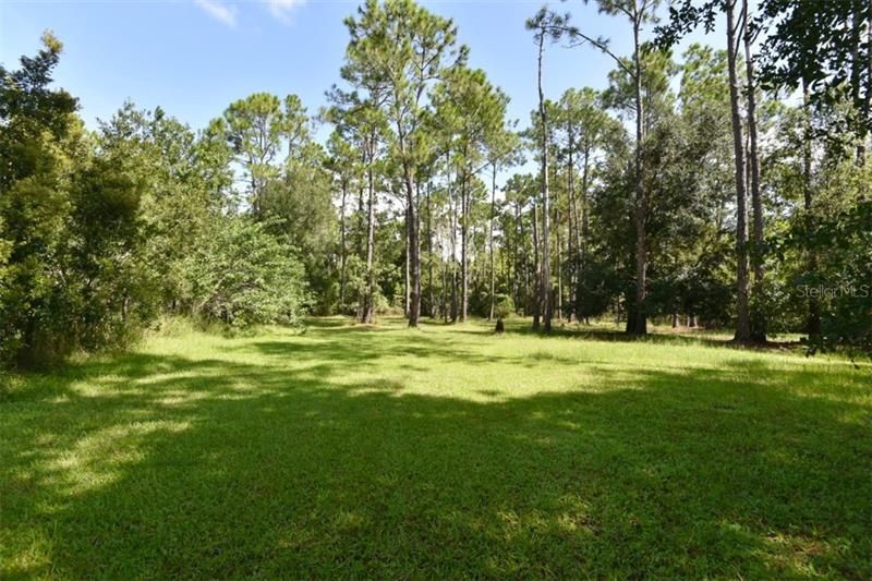 Fenced pasture