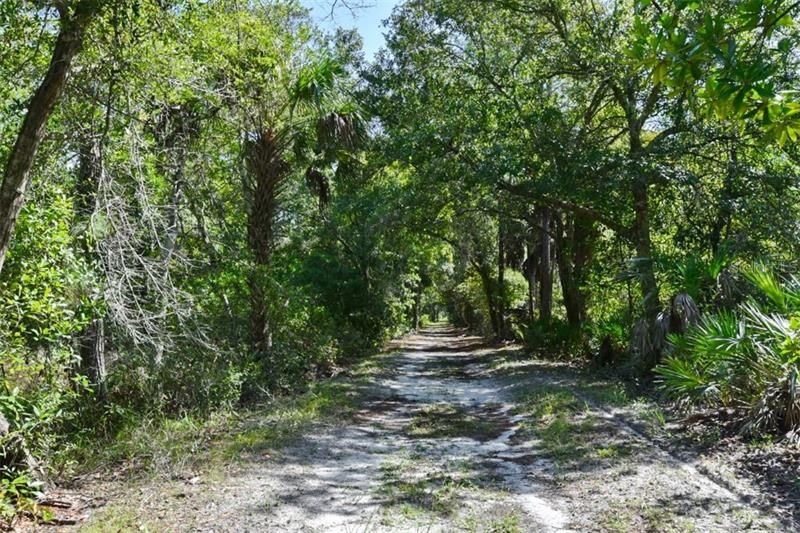 Flagler Rails to Trails