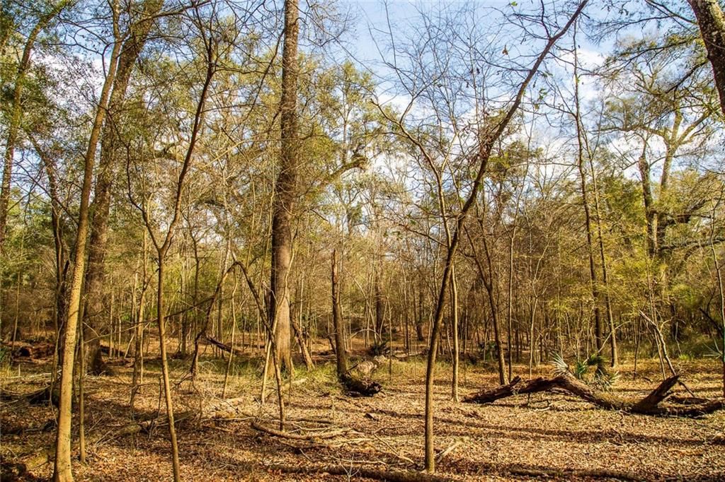 Недавно продано: $15,900 (3.52 acres)