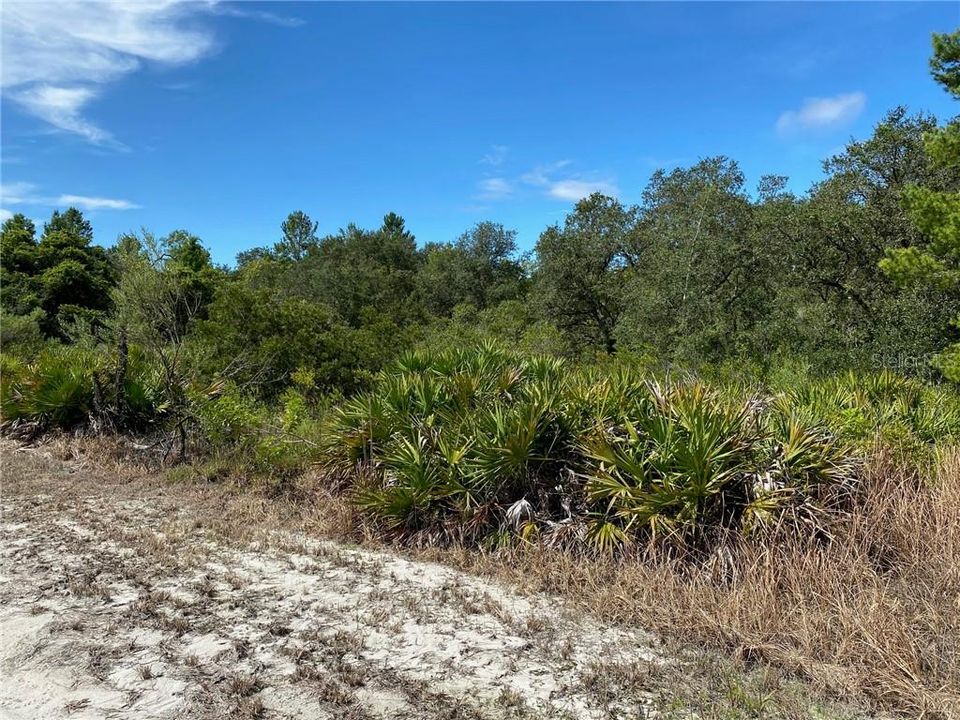 Recently Sold: $29,950 (2.90 acres)