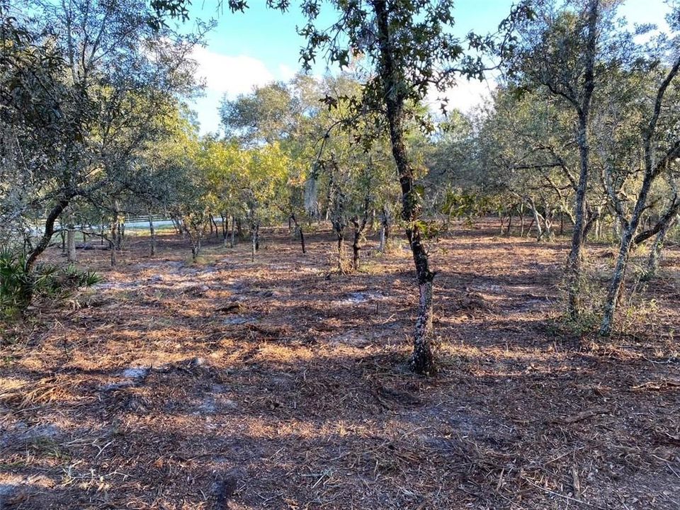 Vendido Recientemente: $29,950 (2.90 acres)