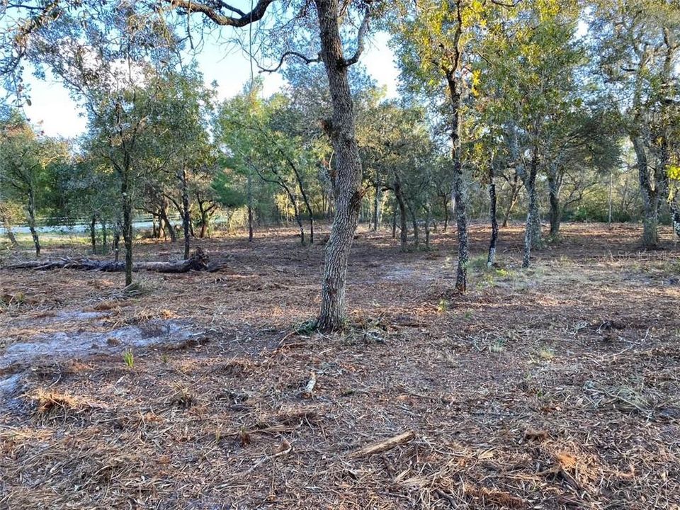 Recently Sold: $29,950 (2.90 acres)