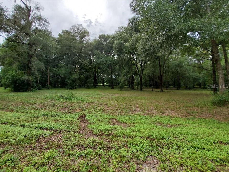 Recently Sold: $59,900 (1.60 acres)