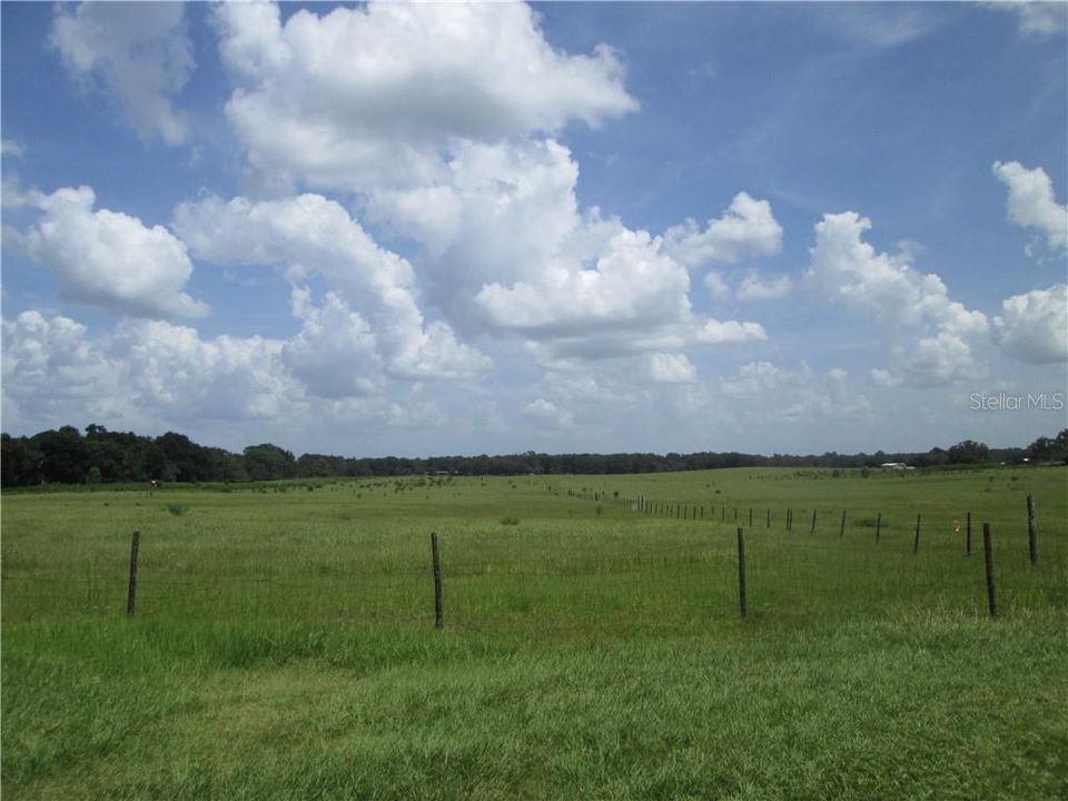 Vendido Recientemente: $575,000 (55.63 acres)