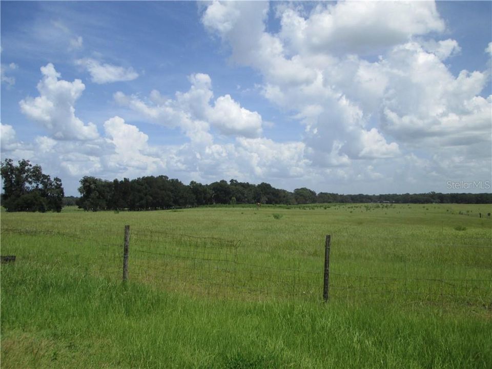 Vendido Recientemente: $575,000 (55.63 acres)