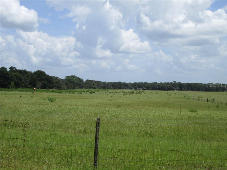 Vendido Recientemente: $575,000 (55.63 acres)