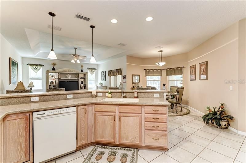 view of dinette and family room from the kitchen 15.10'x16.5'