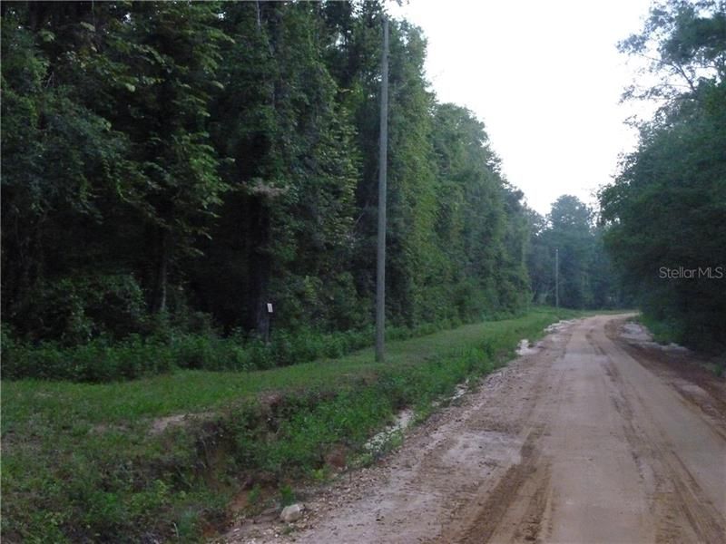 Property Line left side of road going North