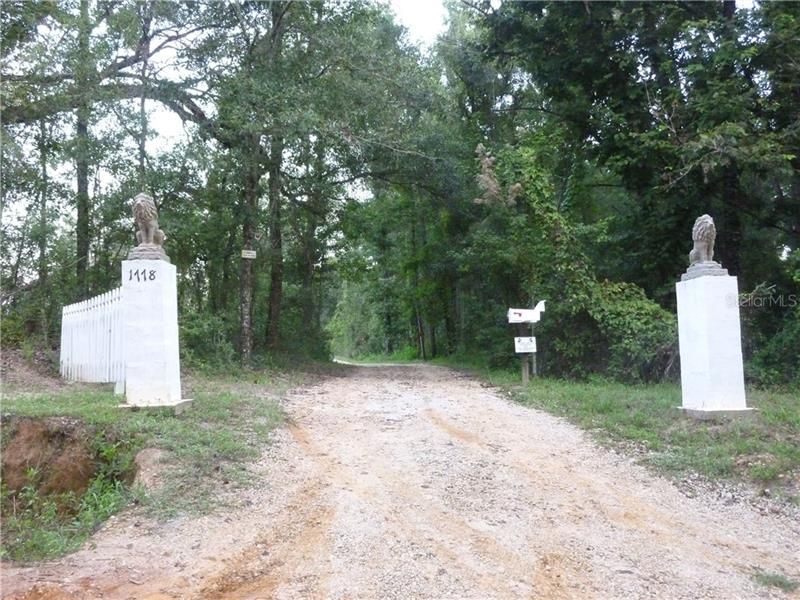 The Lions welcome you to your isolated North Florida Country Estate