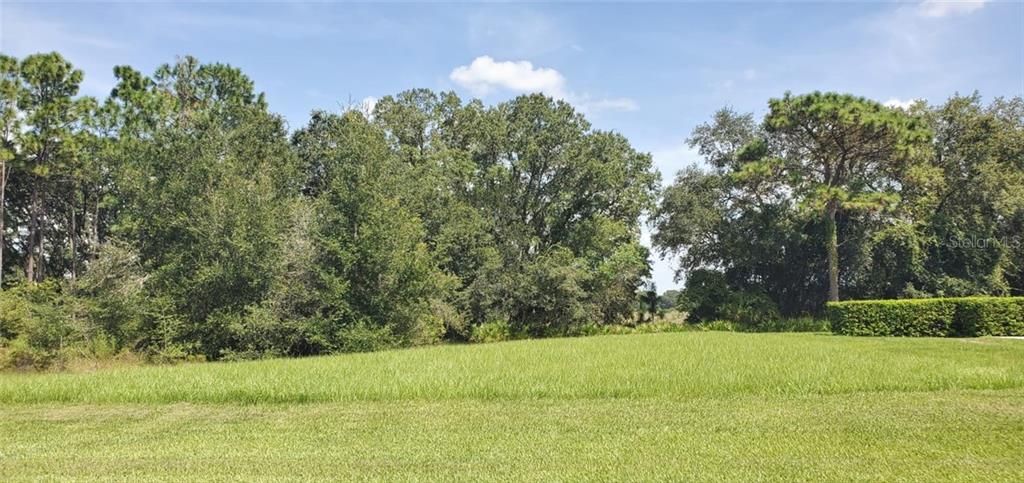 Recently Sold: $45,000 (0.46 acres)