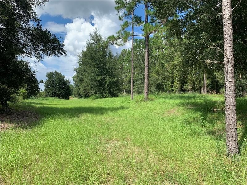 Recently Sold: $175,000 (4.73 acres)