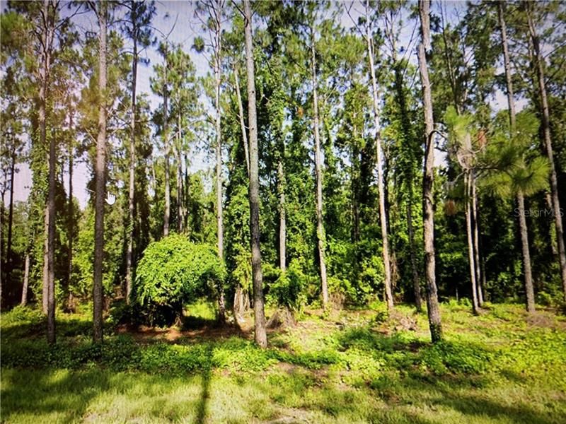 Недавно продано: $175,000 (4.73 acres)