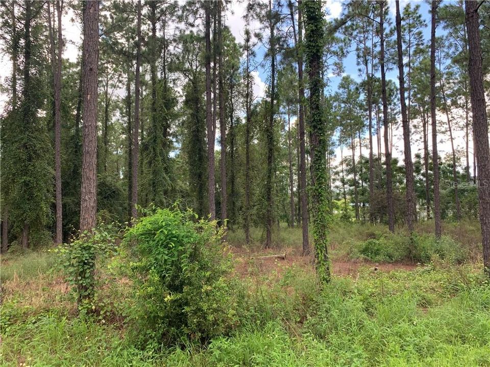 Recently Sold: $175,000 (4.73 acres)