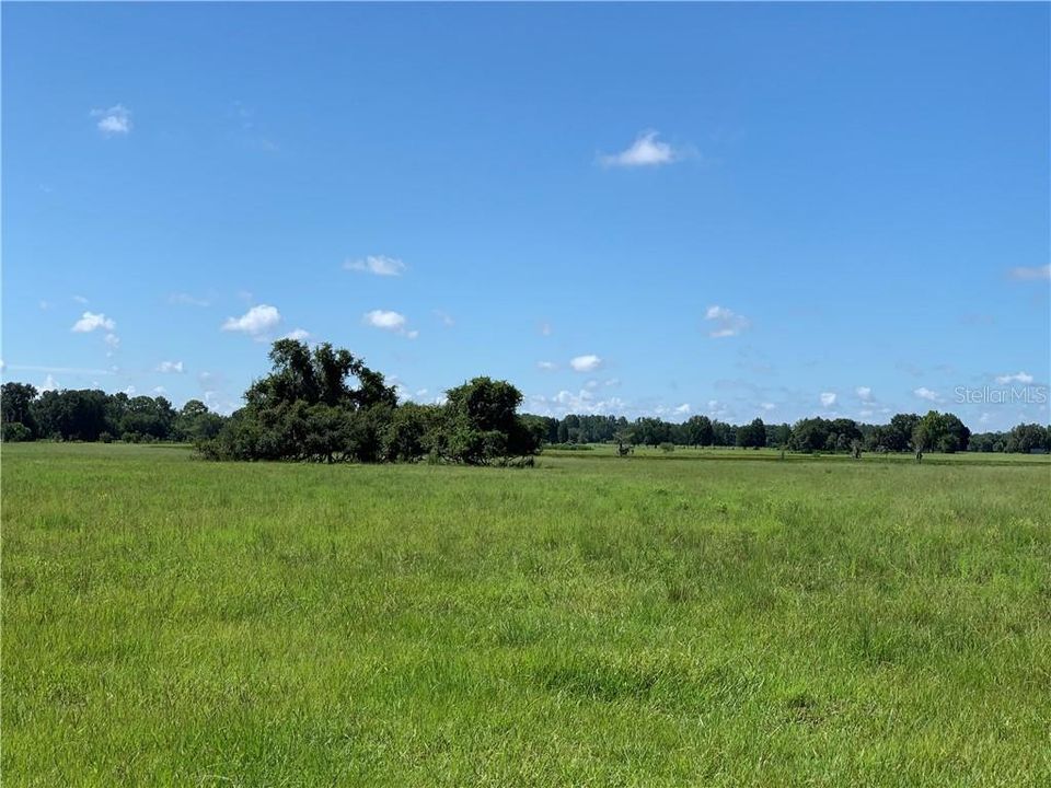 Active With Contract: $4,500,000 (149.50 acres)