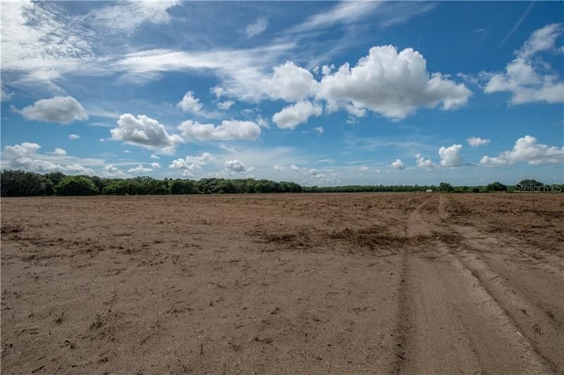 Recently Sold: $850,500 (63.00 acres)