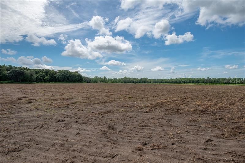 Recently Sold: $850,500 (63.00 acres)