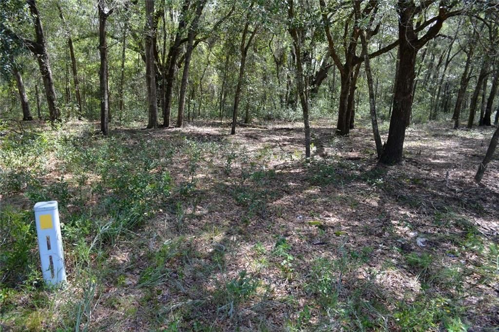 Recently Sold: $6,900 (0.19 acres)