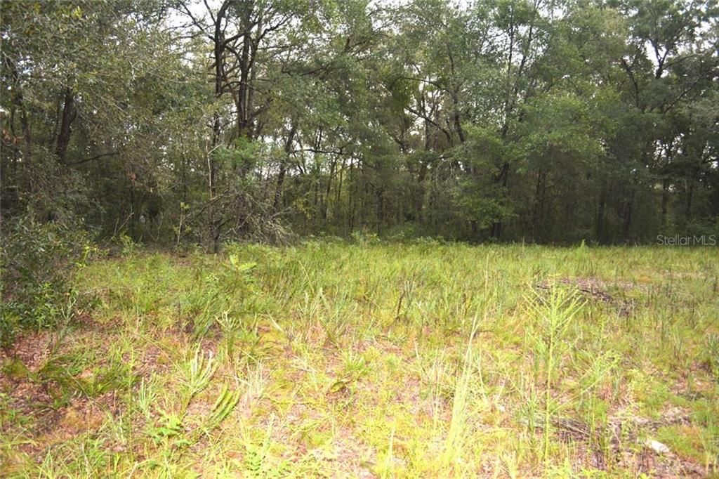 Recently Sold: $6,900 (0.19 acres)