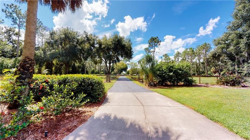 Paved Driveway leading to home...great Privacy!