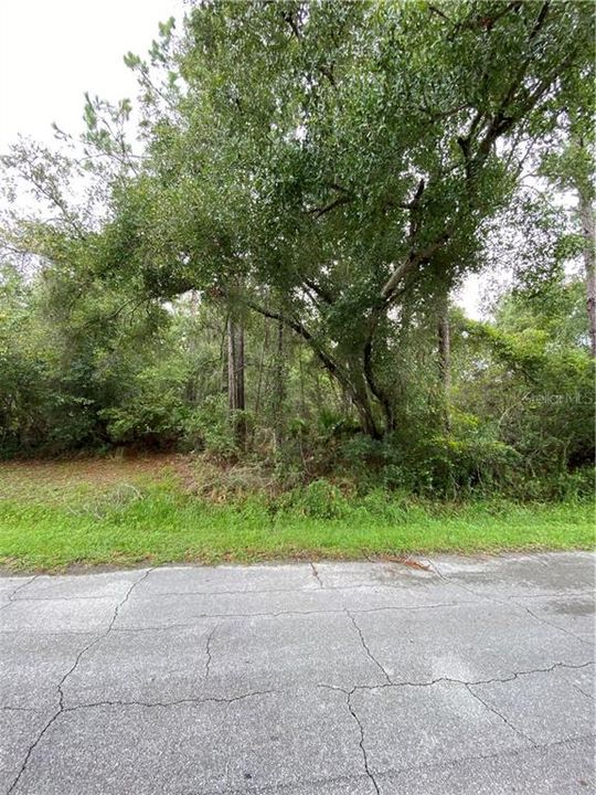 Vendido Recientemente: $75,000 (1.49 acres)