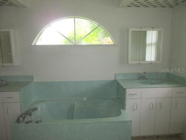 MASTER BATH WIH DUAL SINKS AND SOAKING TUB