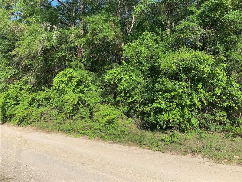 Recently Sold: $40,000 (4.02 acres)