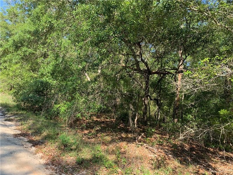 Recently Sold: $40,000 (4.02 acres)