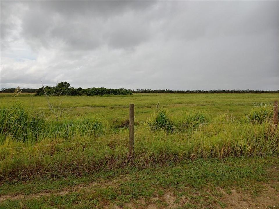 open pasture across the road