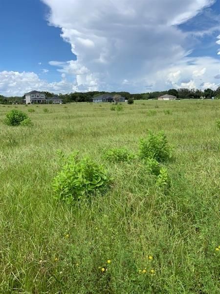 Recently Sold: $86,500 (1.81 acres)